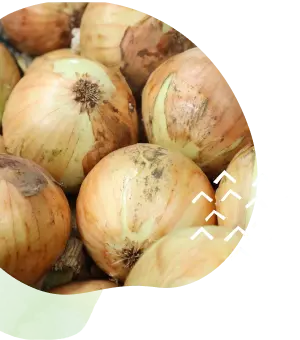画像01