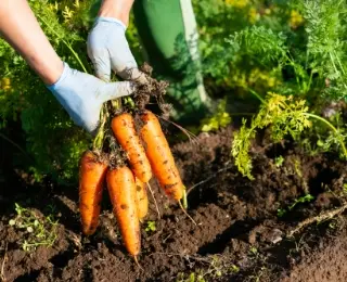 和郷は農業者である