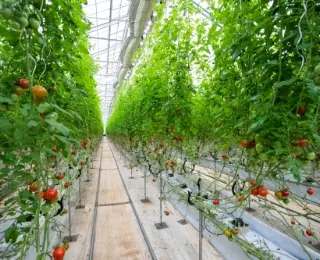 和郷は農業者である