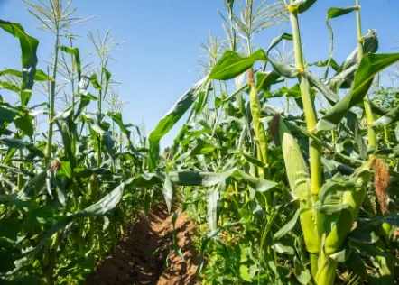 実地研修（全国各地域）02